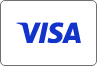 Visa Visa credit card icon.